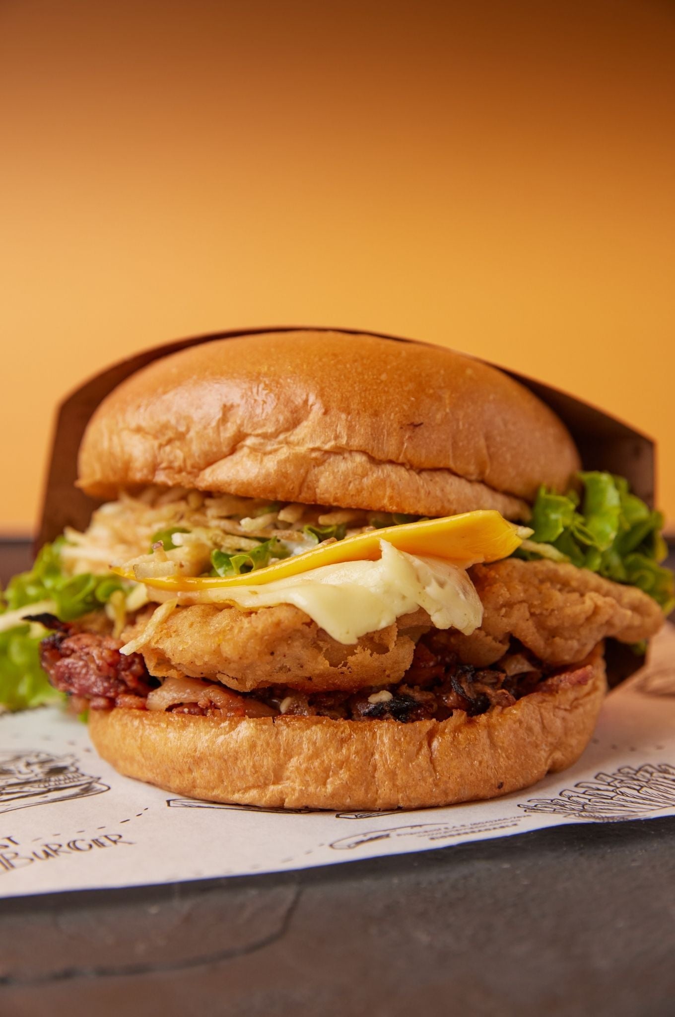Burger Pollo Especial